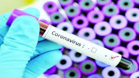 Лариса Кошова щодо протидії коронавірусу на Черкащині – у цифрах