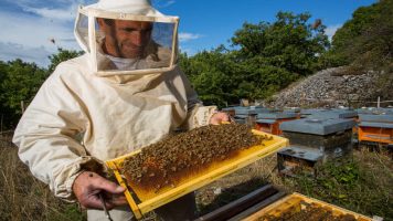 Бджолярам Черкащини надали методичні рекомендації для нарахування субвенції.