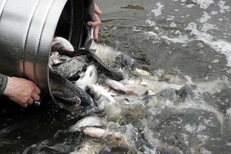 Уряд дав старт реформі рибної галузі