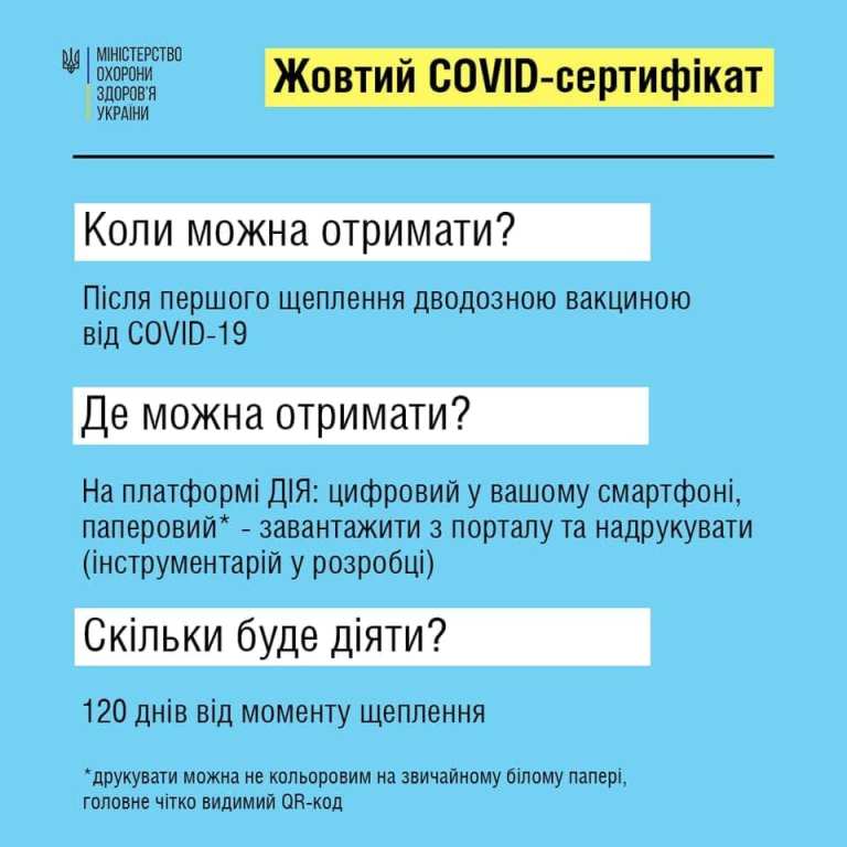 «Жовтий» та «зелений» COVID-сертифікати: заступниця голови ОДА Лариса Кошова про різницю між ними та як отримати