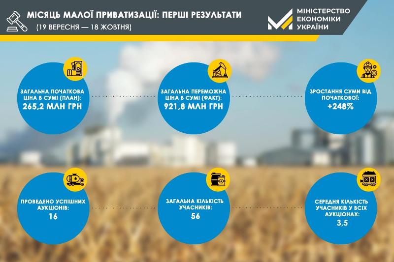 Мала приватизація може принести в український бюджет майже 1 млрд гривень за перший місяць роботи