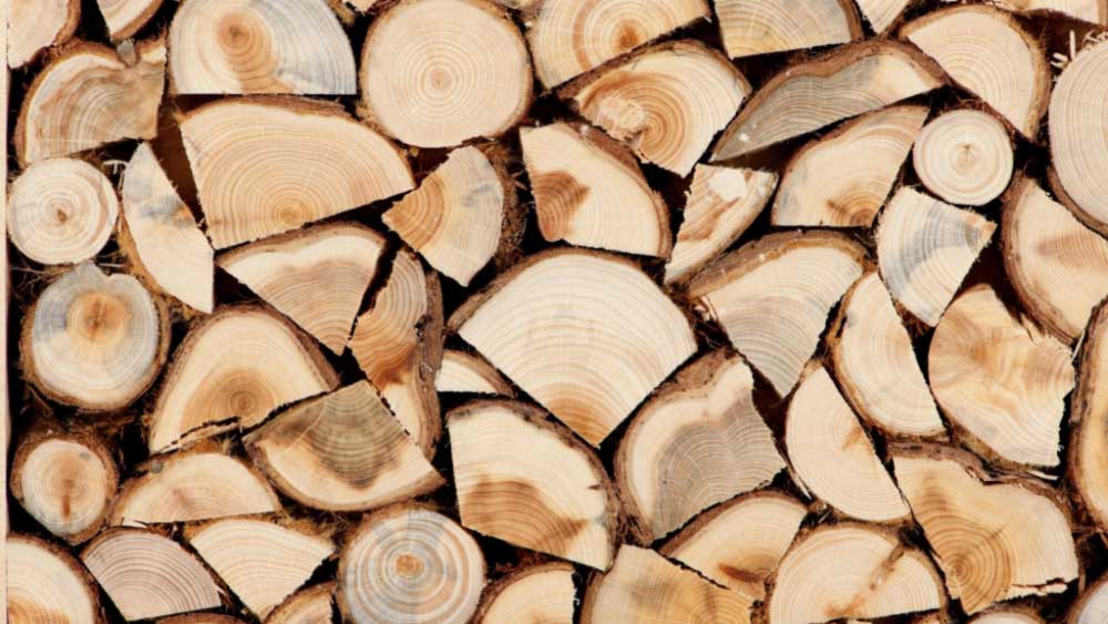 Продаж дров паливних для юридичних та фізичних осіб держлісгоспами Черкащини
