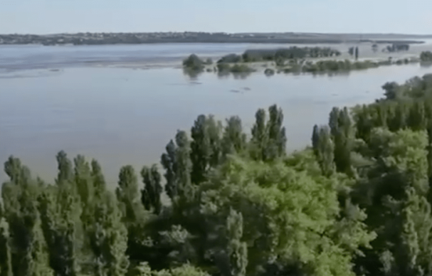 Землі, які затоплені, потребують повної агроекологічної оцінки, − Тарас Висоцький