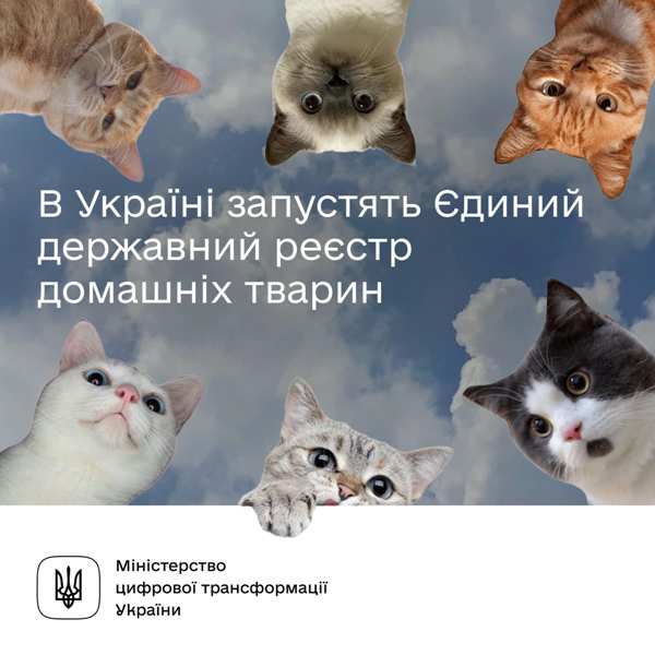 В Україні запустять Єдиний державний реєстр домашніх тварин