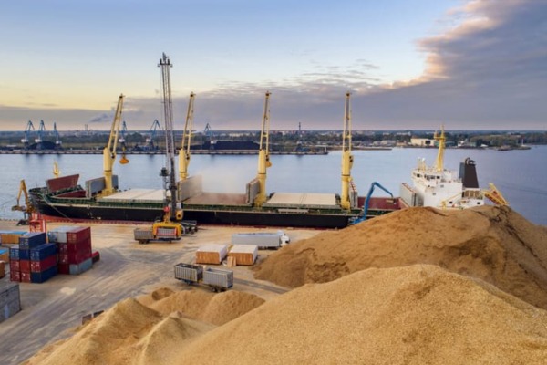 Тарас Висоцький: 90% української агропродукції експортується морем