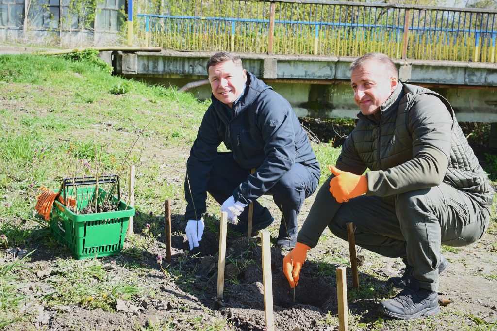 На фото - Дуби Шевченка висадили в Кам’янській громаді