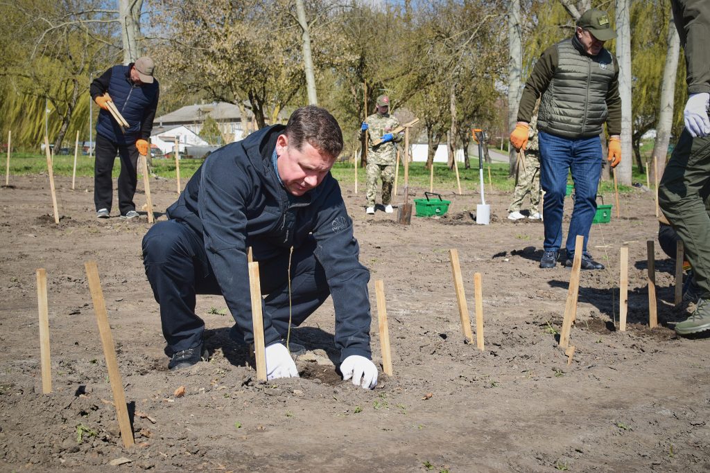 На фото - Дуби Шевченка висадили в Кам’янській громаді